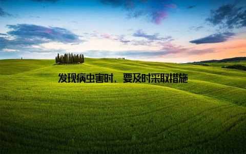 发现病虫害时, 要及时采取措施