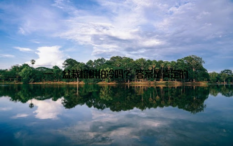 一、盆栽榕树怕冷吗? 答案是肯定的