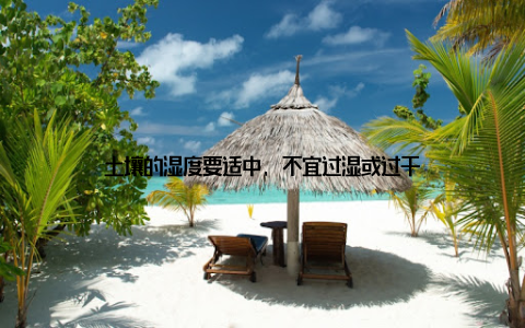 土壤的湿度要适中, 不宜过湿或过干