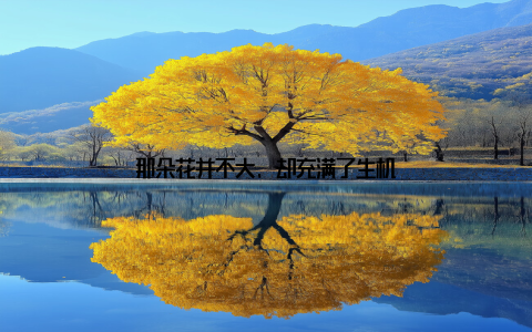 那朵花并不大, 却充满了生机