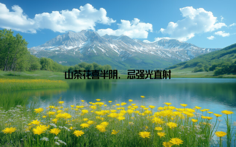 山茶花喜半阴, 忌强光直射