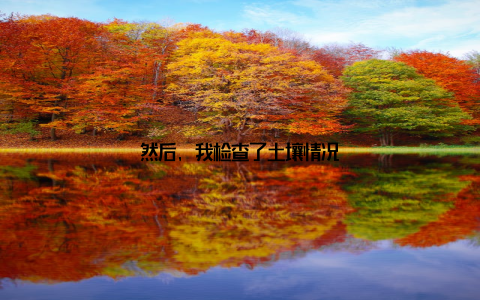 然后, 我检查了土壤情况