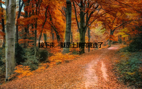 接下来, 就是土壤的挑选了