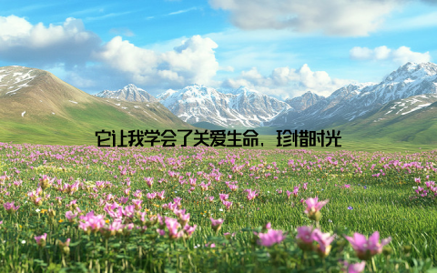 它让我学会了关爱生命, 珍惜时光