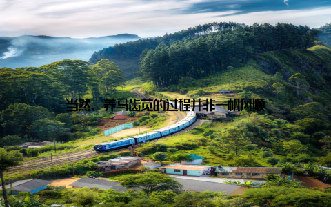 当然, 养马齿苋的过程并非一帆风顺