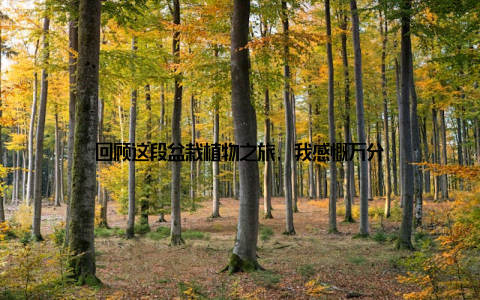 回顾这段盆栽植物之旅, 我感慨万分