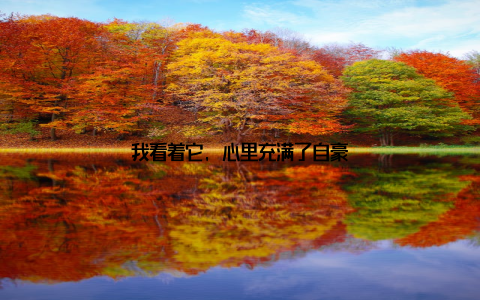 我看着它, 心里充满了自豪