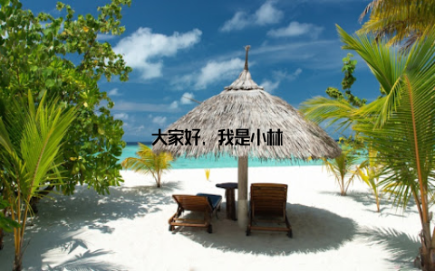 大家好, 我是小林