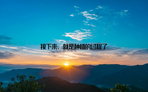 接下来, 就是种植的过程了