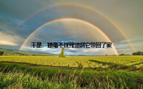 于是, 她毫不犹豫地将它带回了家