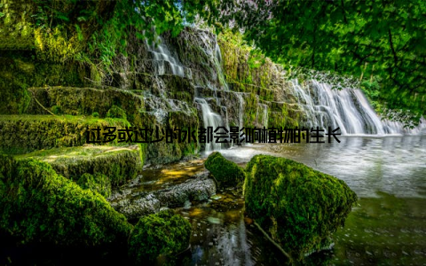 过多或过少的水都会影响植物的生长