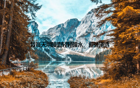 我每天用喷壶轻轻喷水, 避免浇透