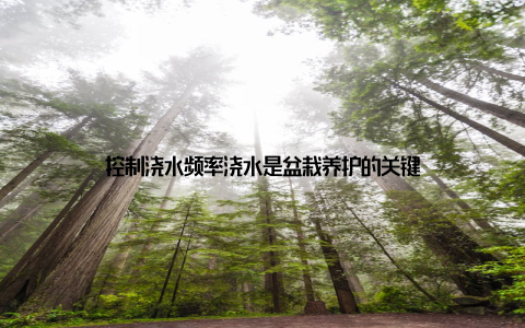 控制浇水频率浇水是盆栽养护的关键