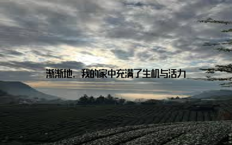 渐渐地, 我的家中充满了生机与活力