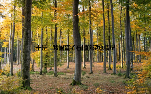 于是, 我检查了石榴的浇水情况