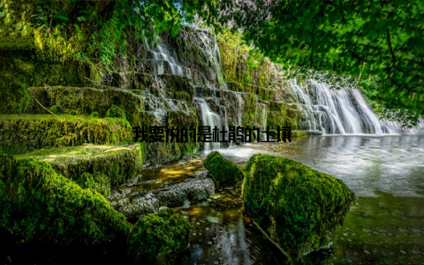 我要说的是杜鹃的土壤