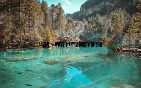 当然, 养花也有烦恼的时候