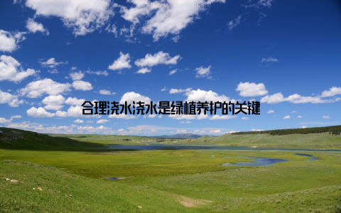 合理浇水浇水是绿植养护的关键