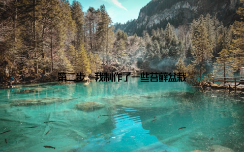 第二步, 我制作了一些苔藓盆栽