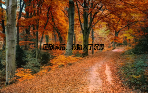 回到家后, 我陷入了沉思