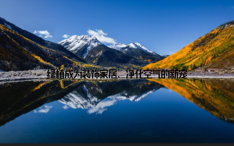 绿植成为装饰家居、净化空气的新宠