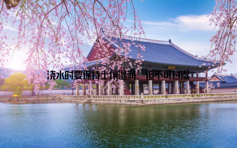 浇水时要保持土壤湿润, 但不可过湿