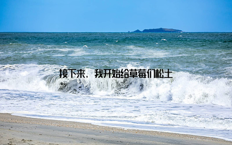 接下来, 我开始给草莓们松土