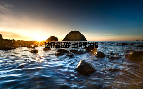 选择合适的土壤是关键