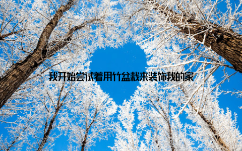 我开始尝试着用竹盆栽来装饰我的家