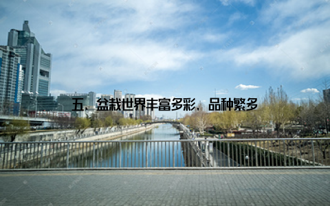 五、盆栽世界丰富多彩, 品种繁多