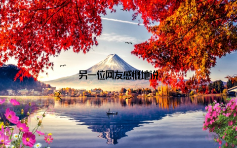 另一位网友感慨地说