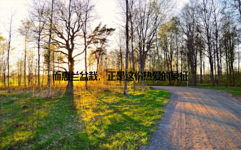 而惠兰盆栽, 正是这份热爱的象征