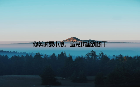 修剪时要小心, 避免伤害到树干