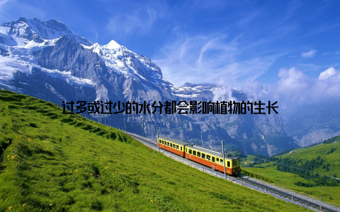 过多或过少的水分都会影响植物的生长