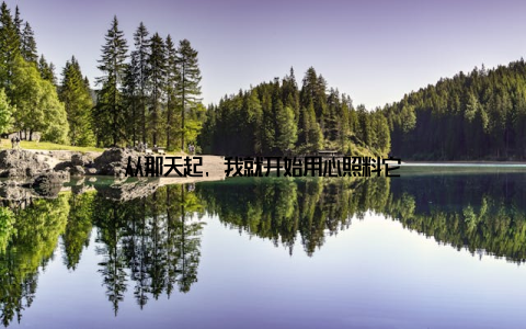 从那天起, 我就开始用心照料它