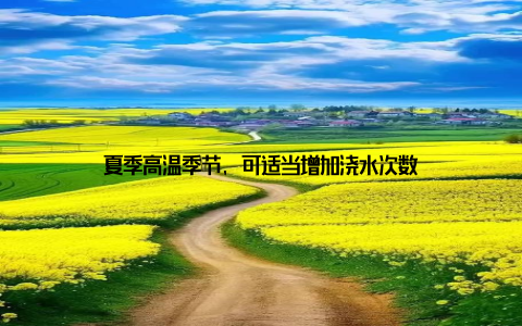 夏季高温季节, 可适当增加浇水次数