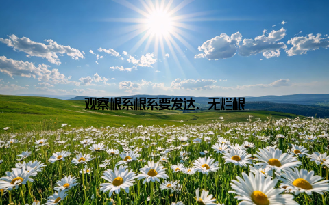 观察根系根系要发达、无烂根