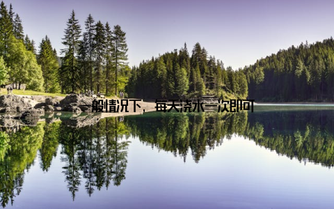 一般情况下, 每天浇水一次即可