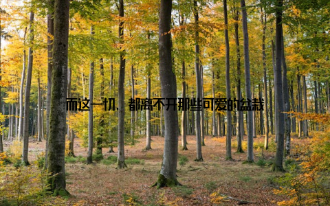 而这一切, 都离不开那些可爱的盆栽