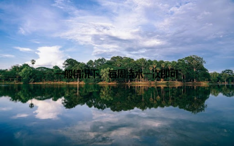 一般情况下, 每周浇水一次即可