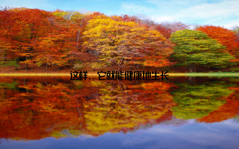 这样, 它就能健康地生长