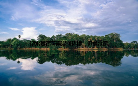 浇水姜荷花喜湿润环境, 但忌水涝