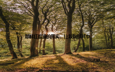 那鲜红欲滴的果实, 让我陶醉其中