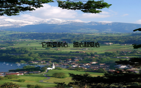 它需要耐心、细心和爱心