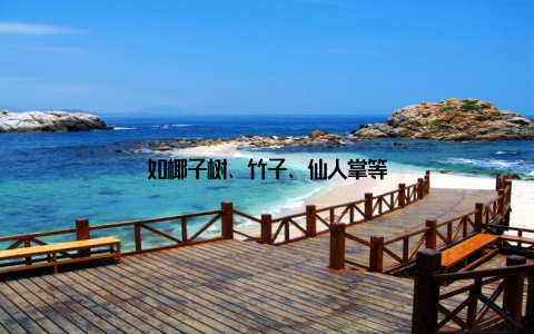 如椰子树、竹子、仙人掌等