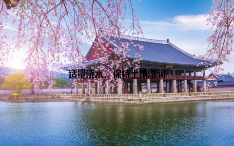 适量浇水, 保持土壤湿润