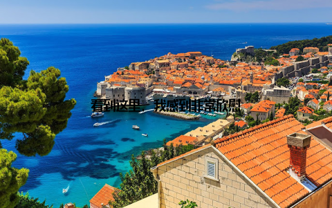 看到这里, 我感到非常欣慰