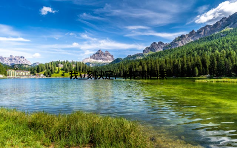 我立刻决定, 将它带回家