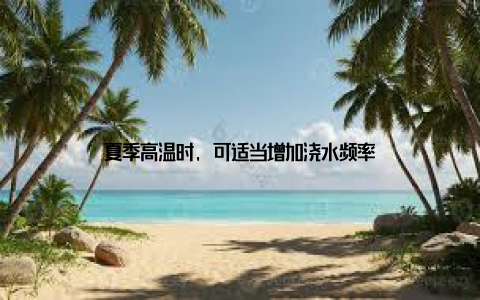 夏季高温时, 可适当增加浇水频率
