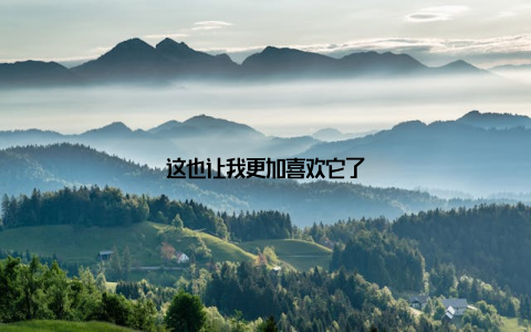 这也让我更加喜欢它了